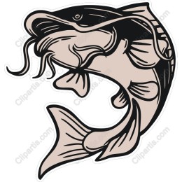 Catfish