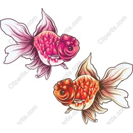 Lively Goldfish Set