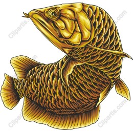 Golden Fish