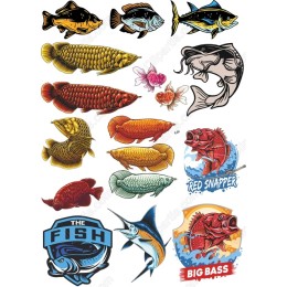 Fish Set - High-Quality