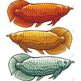 Vibrant Goldfish Set