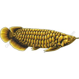 Golden Arowana