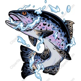 Vibrant Trout