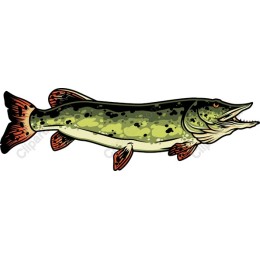 Majestic Fish