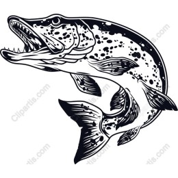 Fierce Pike