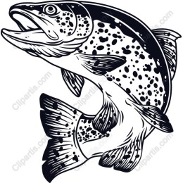 Jumping Trout