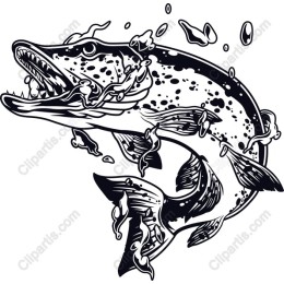Fierce Fish