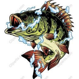 Dynamic Bass Fish