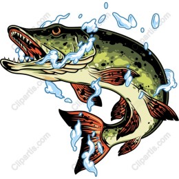 Dynamic Pike Fish