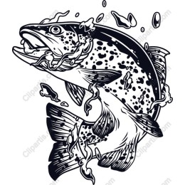 Dynamic Trout