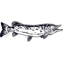 Majestic Fish