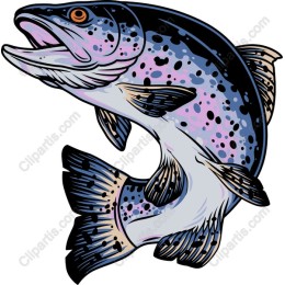 Vibrant Trout