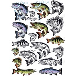  Fish Clipart Bundle - 30 Unique