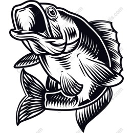 Leaping Fish