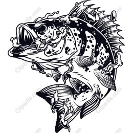 Bass Fish