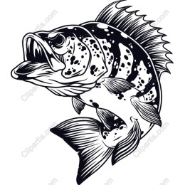 Fierce Bass Fish