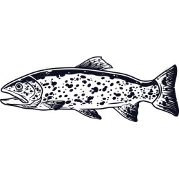  Trout - Aquatic Art