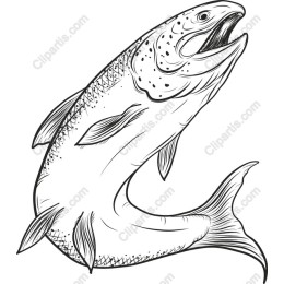 Leaping Trout