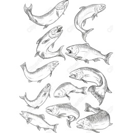  Fish Clipart Bundle: 12 Stunning s