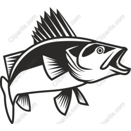 Dynamic Fish