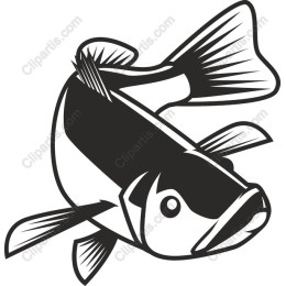 Stunning Bass Fish