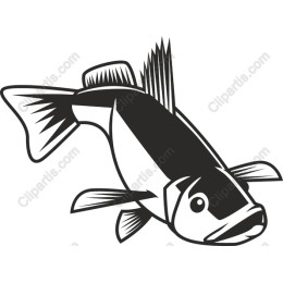 Dynamic Fish
