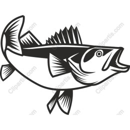 Dynamic Fish