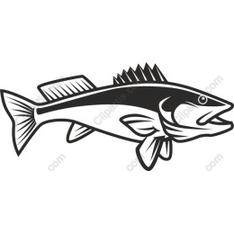 Aquatic Elegance: Fish
