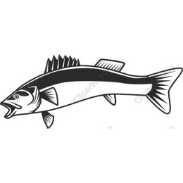 Dynamic Fish