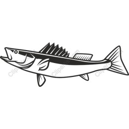 Dynamic Fish