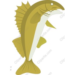 Fierce Fish