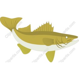 Fierce Fish