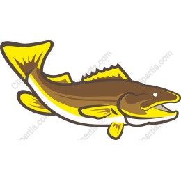 Vibrant Stylized Fish