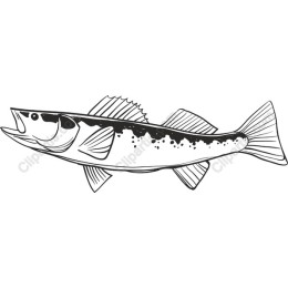 Premium Fish