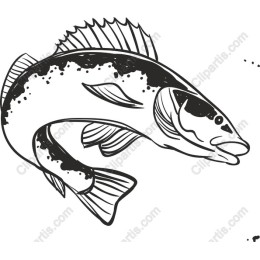 Stunning Fish