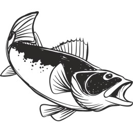 Elegant Aquatic Fish