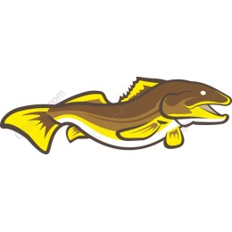 Vibrant Fish