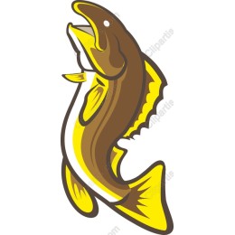 Leaping Fish