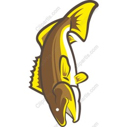 Vibrant Stylized Fish