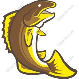 Dynamic Leaping Fish