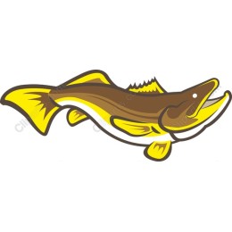 Vibrant Fish