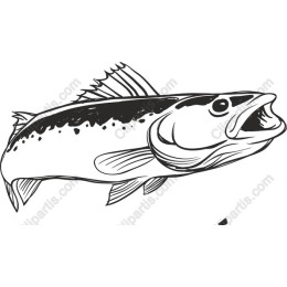 Aquatic Beauty: Detailed Fish