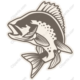 Dynamic Fish