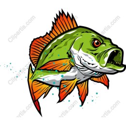 Fierce Fish
