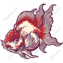Vibrant Goldfish
