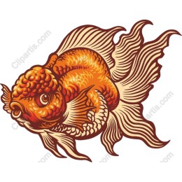 Vibrant Goldfish