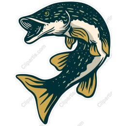Vibrant Pike