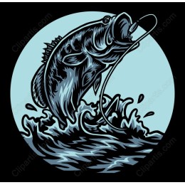 Bass Fish Jumping