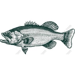 Vintage Bass Fish