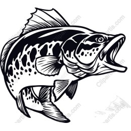 Bass Fish